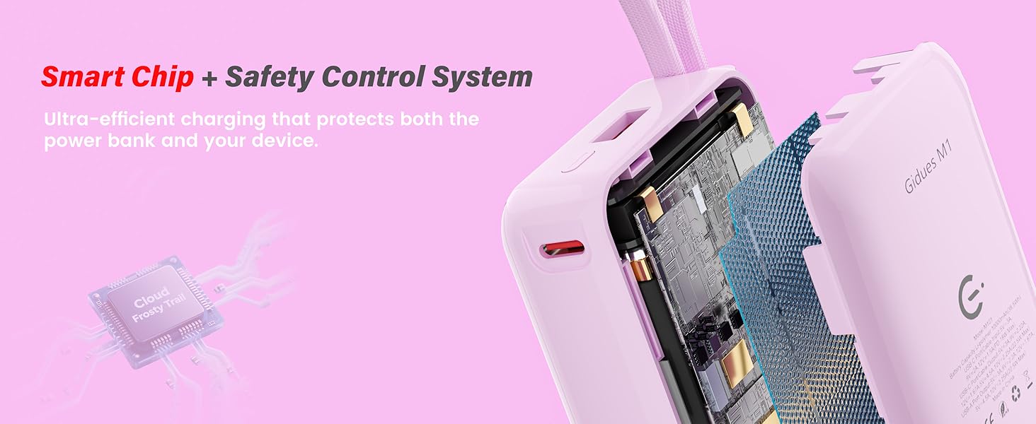 Smart Chip with safety Control System