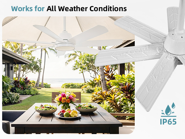 outdoor ceiling fans