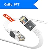 cat6a ethernet cable