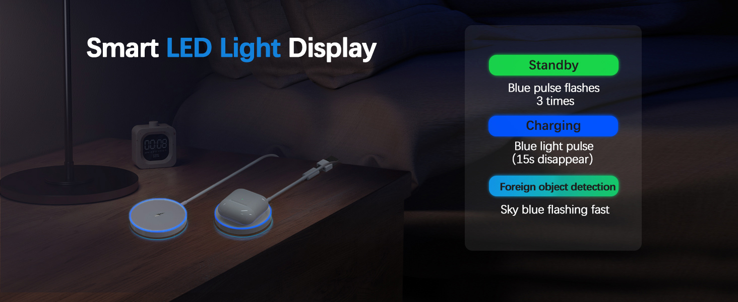 LED Smart Charger