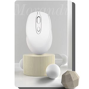 Bluetooth mouse