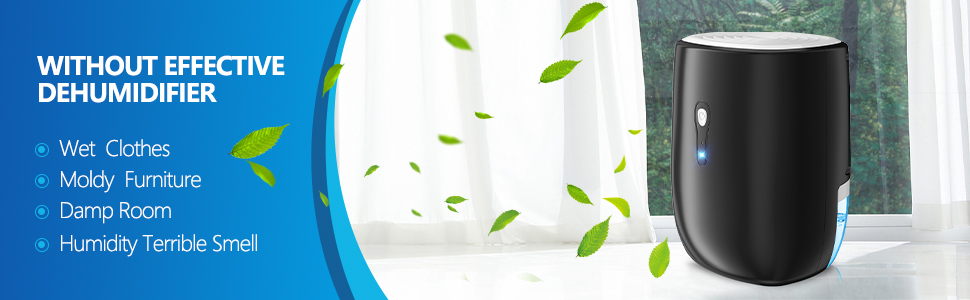 Dehumidifiers for Home