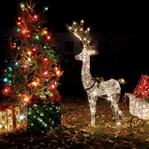 Control Your Christmas Light