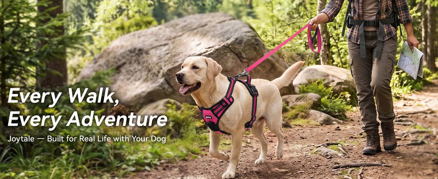 dog harness medium sized dog