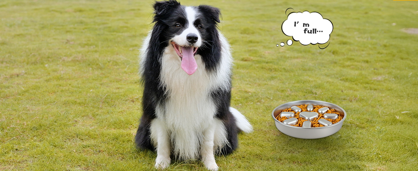 slow feeder dog bowls