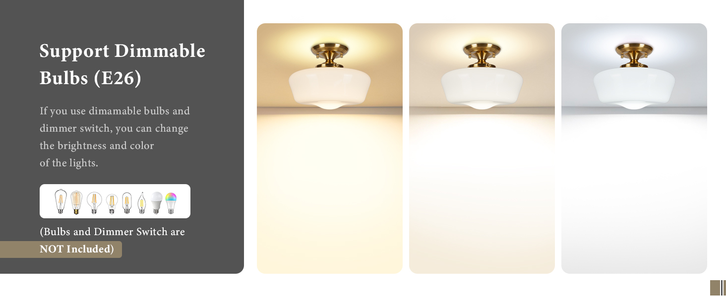 schoolhouse ceiling light