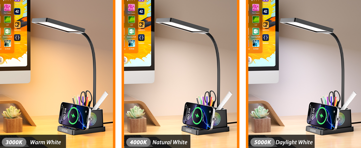 LED Desk Lamp