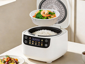 food steamer