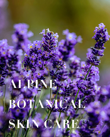 facial oil for gua sha vraiko calanthe