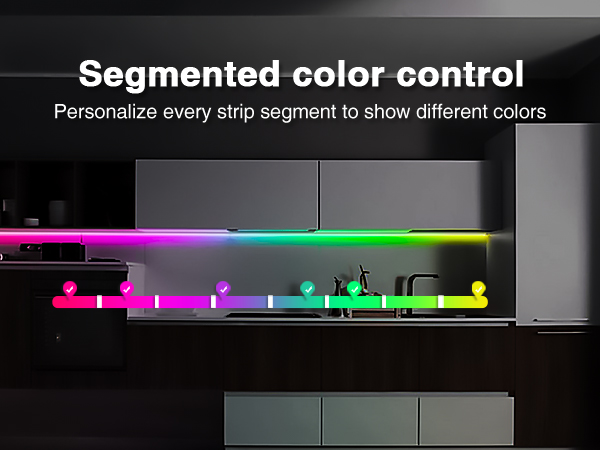 segmented color control