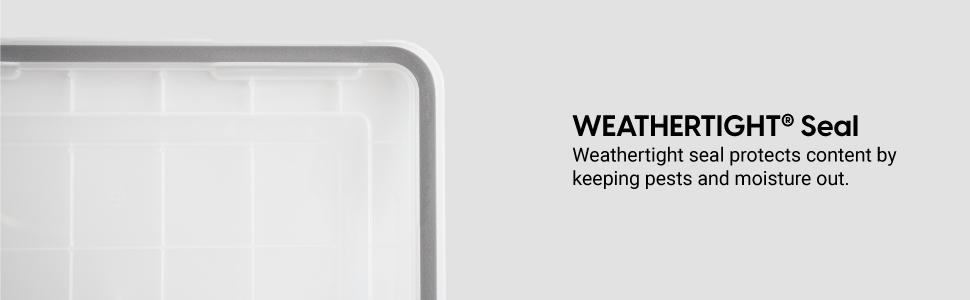 letter and legal, storex, project box, box filer organizer, paper organizer, home organizer, office