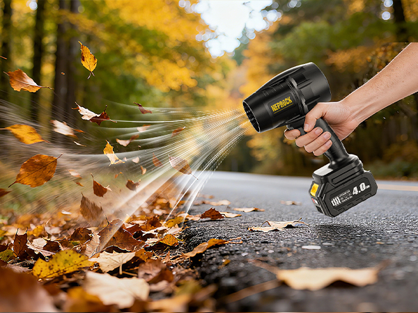 portable blower cordless