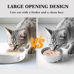 wet food feeder for cats