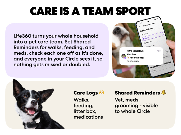 Pet care should be a team sport.