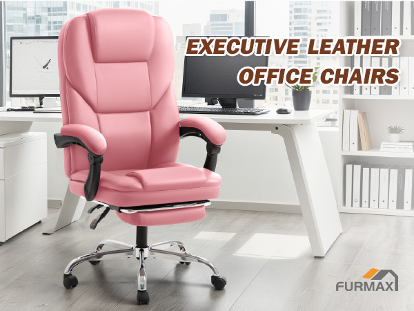 Executive Leather Office