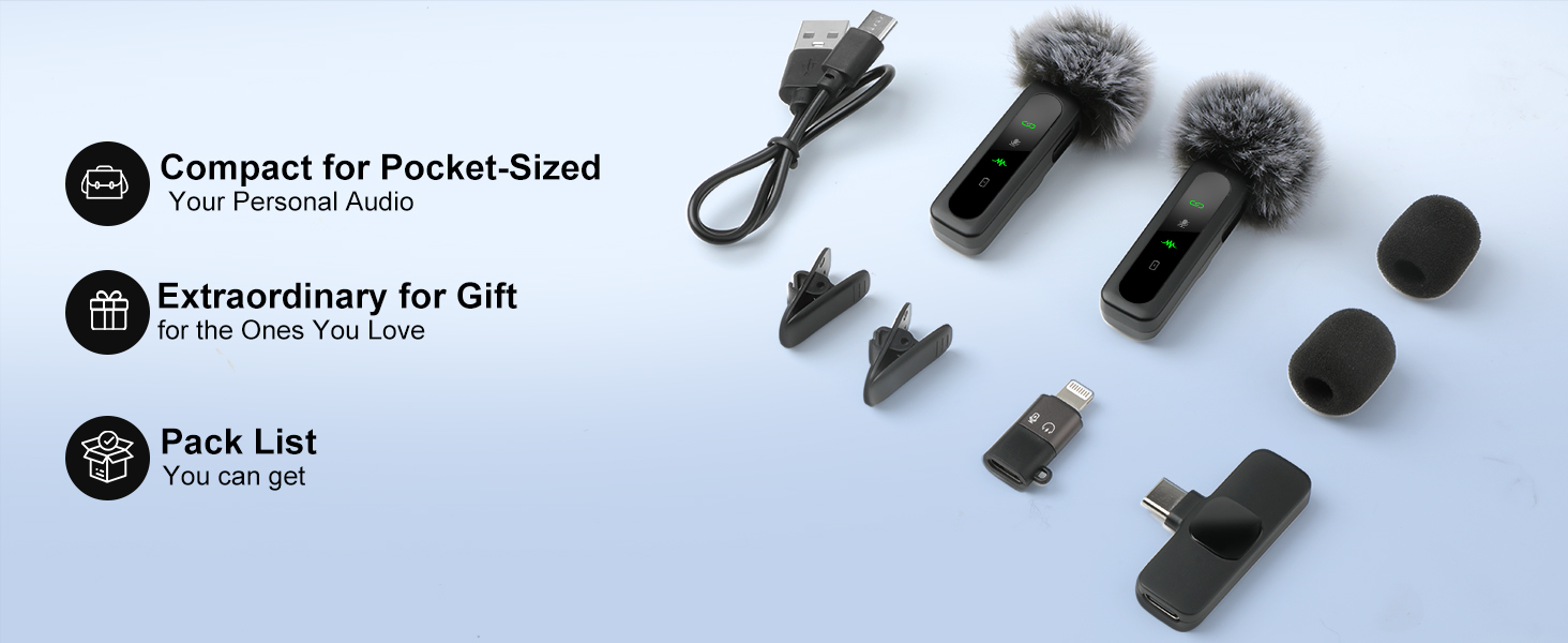 mini mic