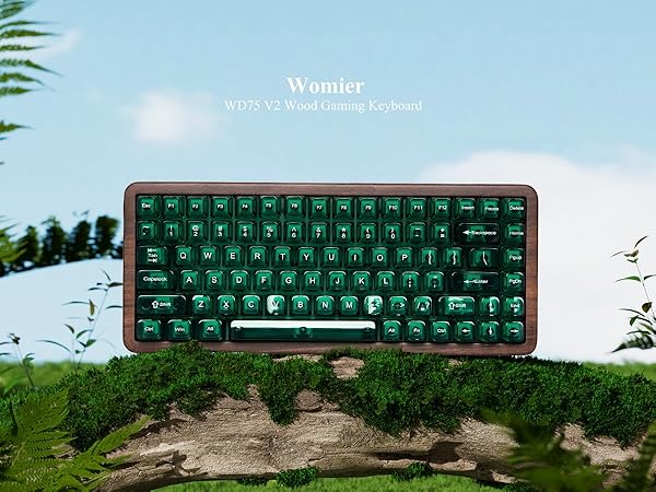 keyboard 75% Wireless Mechanical Custom Keyboard RGB Hot Swappable