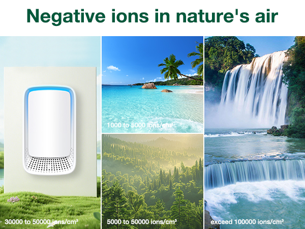 Forest Air Maker-2-2