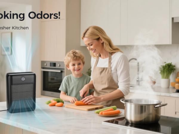 HEPA 13 Air Purifier