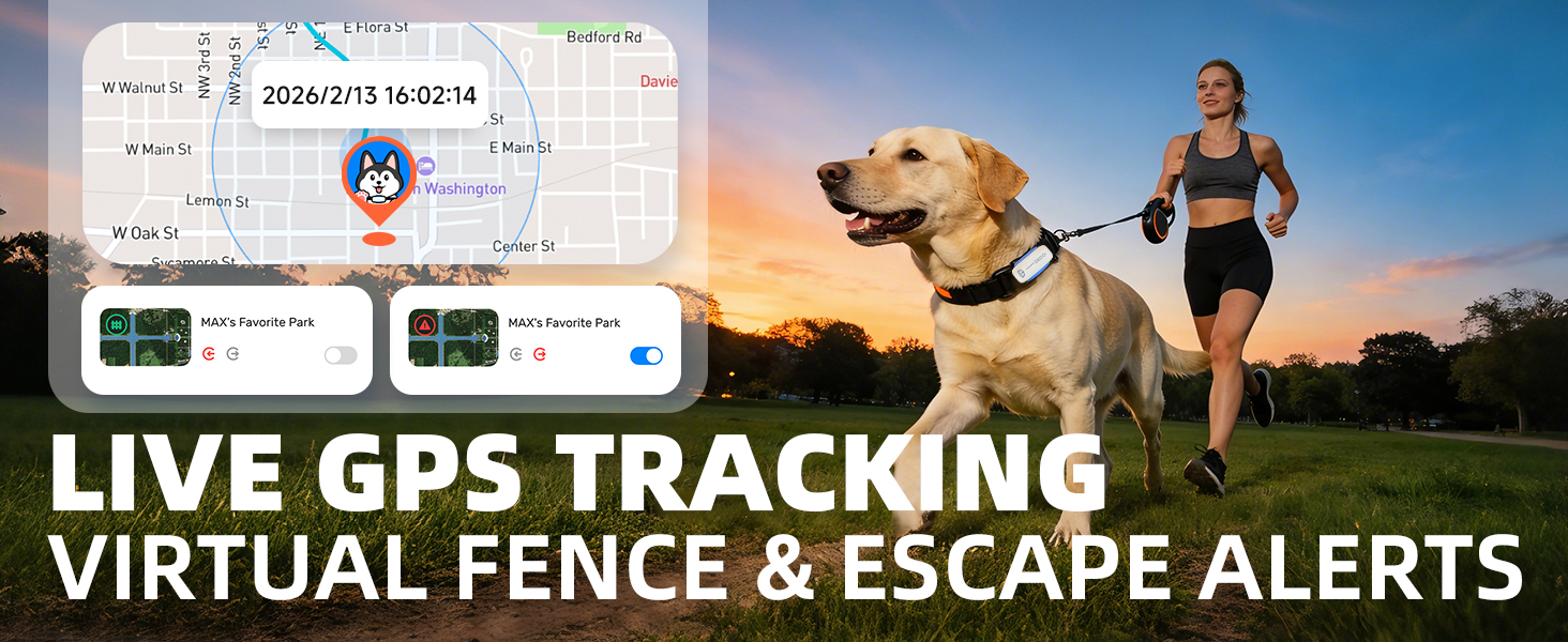 live gps tracking
