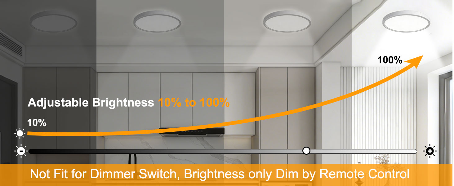 led ceiling light
