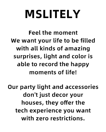 MSLITELY Party Light