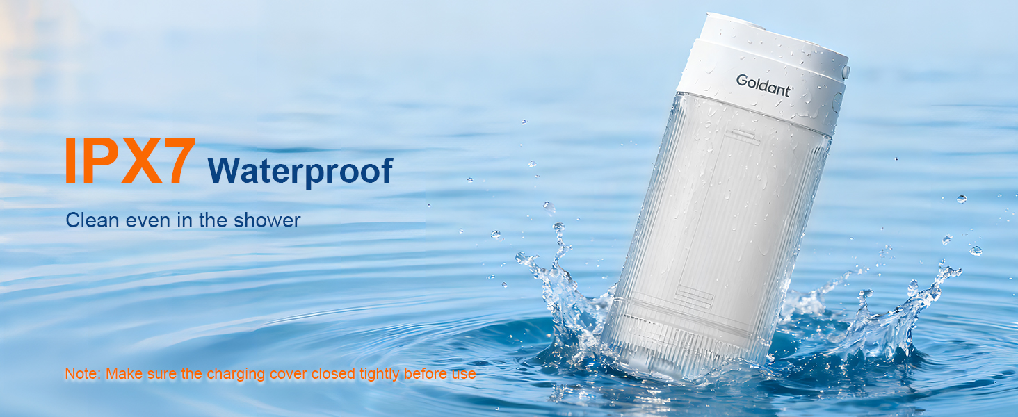 portable water flosser
