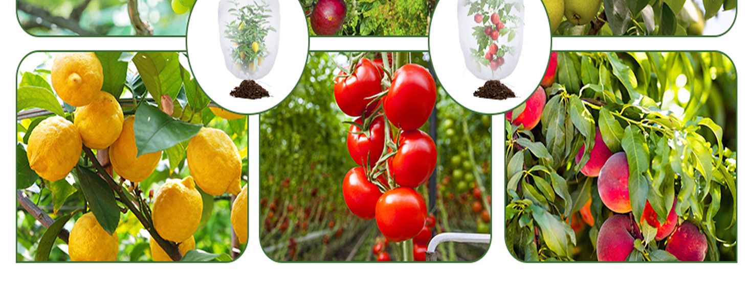 Bird_Garden_Netting_for_Garden_Protection_1