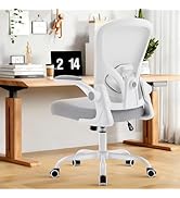 shipborne Ergonomic Office Chair, Computer Desk Chair with Adjustable Lumbar Support and Flip-up ...