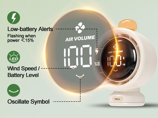 HD Digital Display