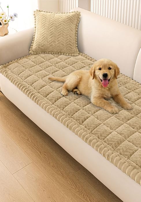 couch cover