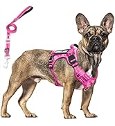 MOOGROU Tactical Service Dog Vest and Leash Set,Heavy Duty No Pull Dog Harness and 10 Patches wit...
