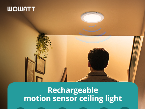 Battery Operated Ceiling Light