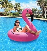 Flamingo Swim Tube Rings
