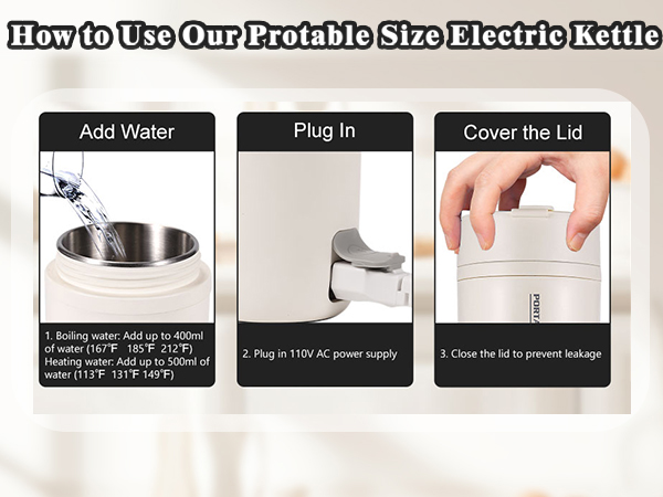 DUAL VOLTAGE ELECTRIC KETTLE