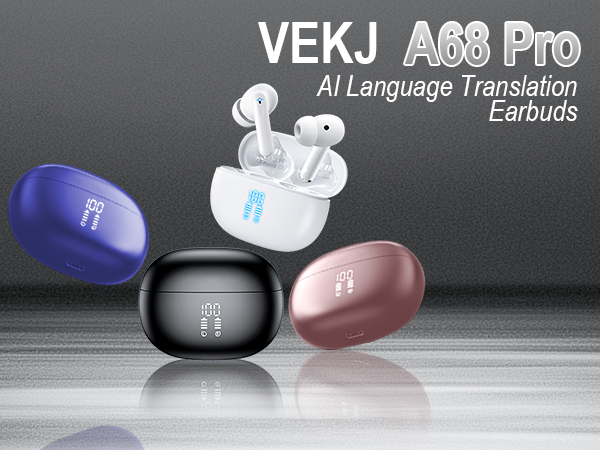 translation earbuds