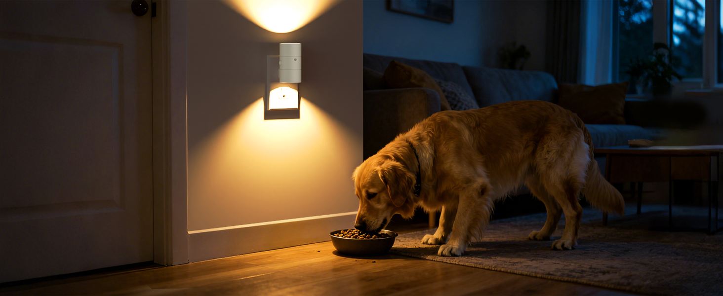 hall hallway pet dog cat