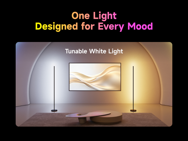 LED Floor Lamp