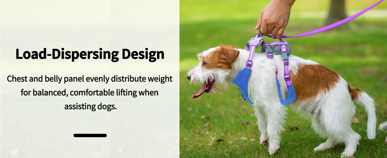 dog harness with handle 
