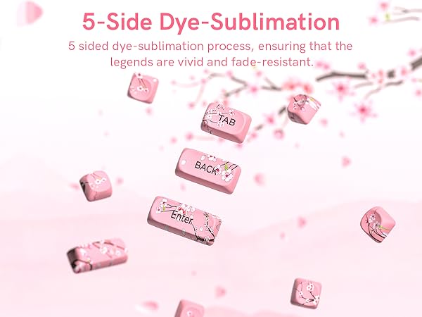  5-Side Dye-Sublimation