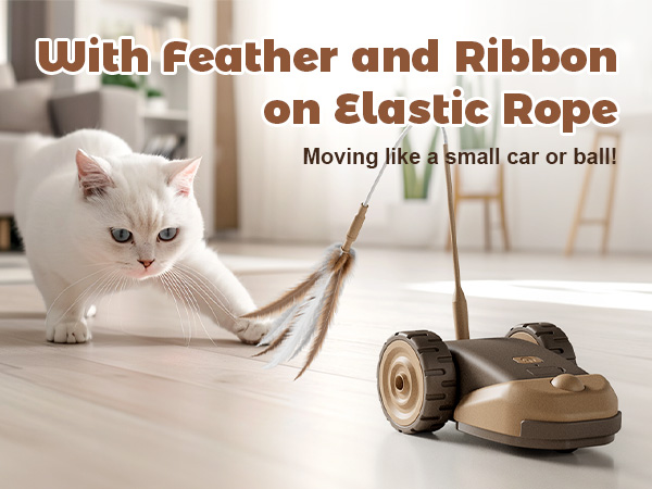 Interactive Cat Toy