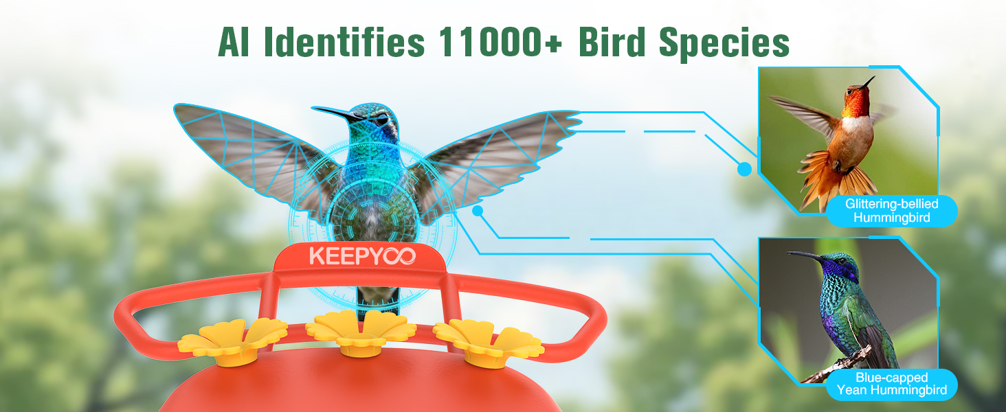 smart hummingbird feeder with camera