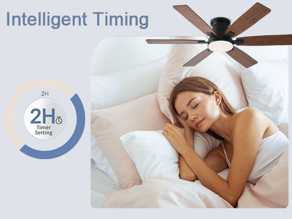 Ceiling Fans with Lights