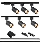 Hiiglxii 6-Light LED Track Lighting Kit with 6.6FT H Track Lighting Rails &amp; Floating Canopy Conne...