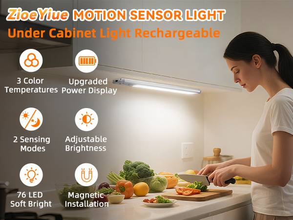Motion Sensor Light