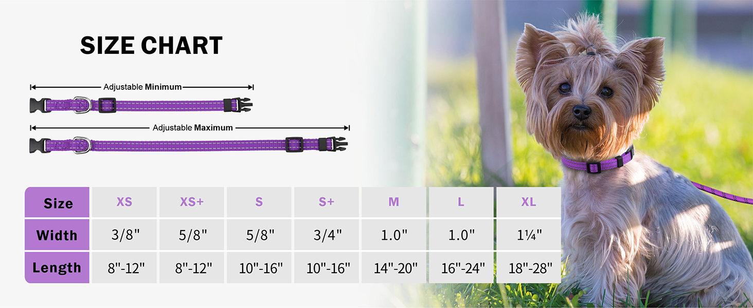small dog collar