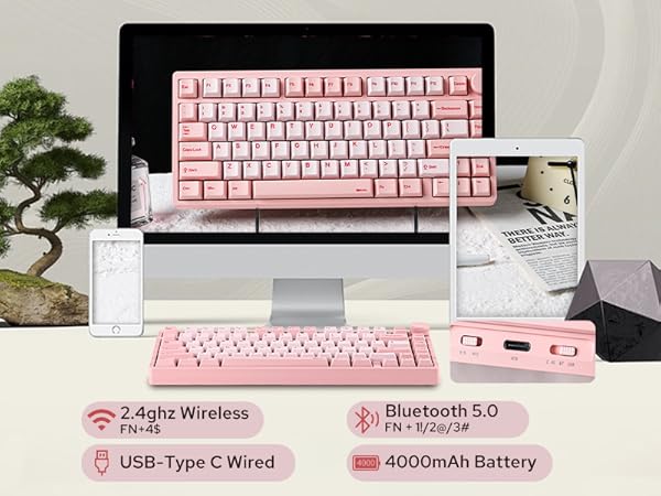 Moonshadow V2 Pink