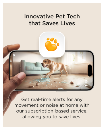Smart pet camera for monitoring dogs and cats at home