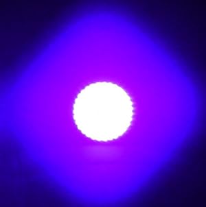 uvBeast V2 Black Light UV Flashlight High Power