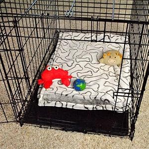 pet
